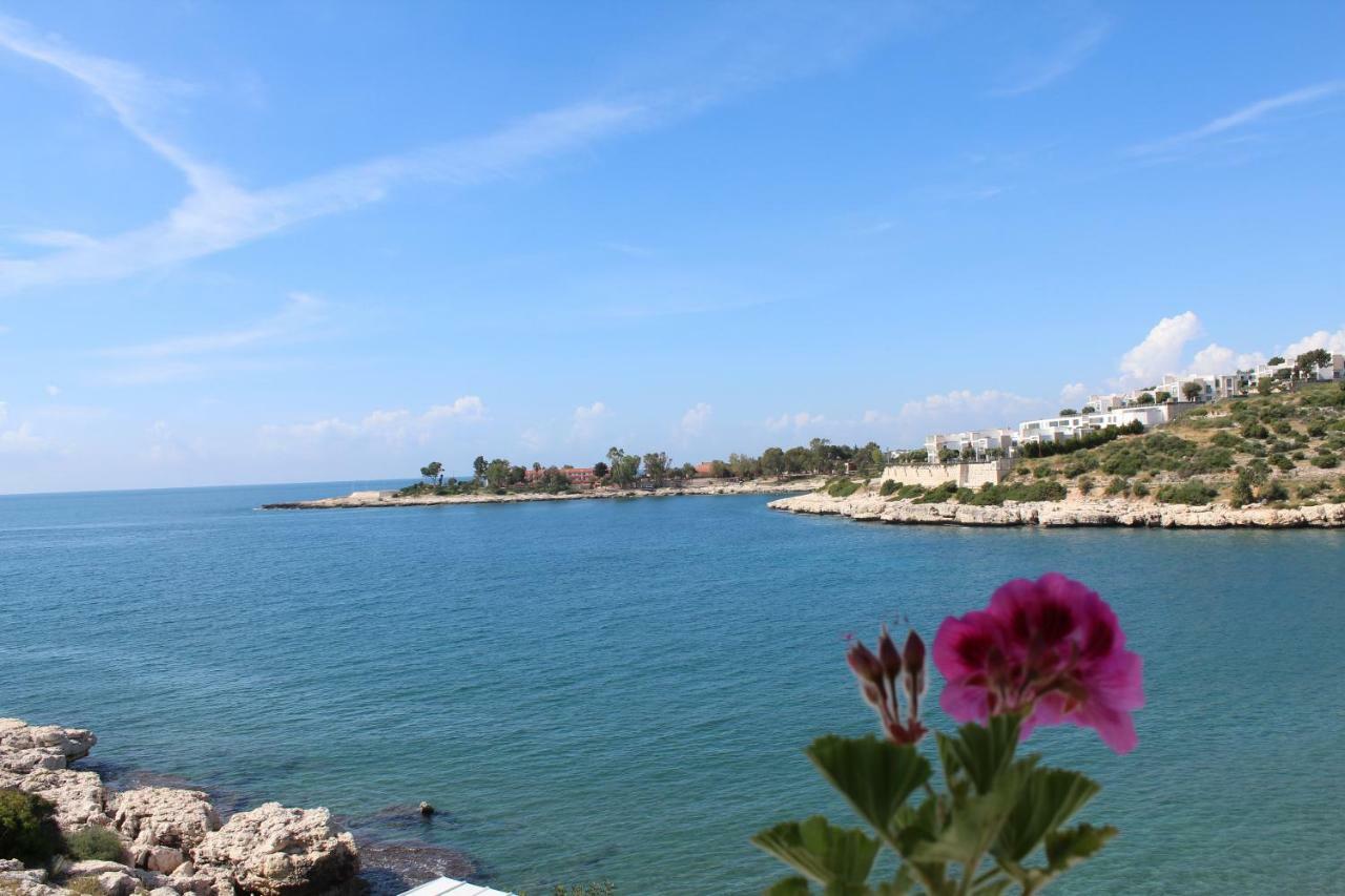 Anfora Apart Pansiyon Erdemli エクステリア 写真